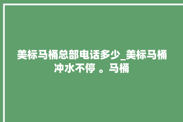 美标马桶总部电话多少_美标马桶冲水不停 。马桶