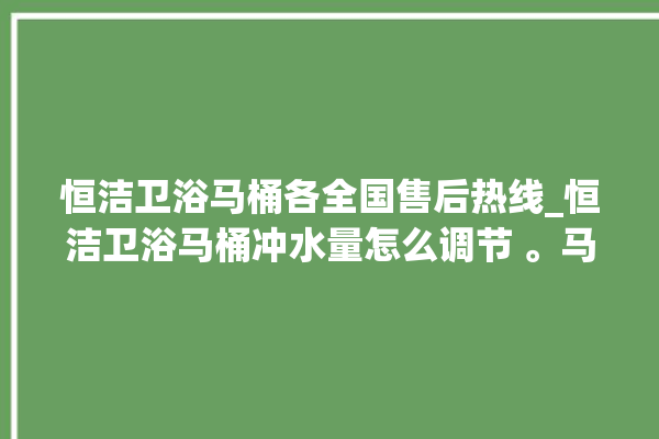 恒洁卫浴马桶各全国售后热线_恒洁卫浴马桶冲水量怎么调节 。马桶