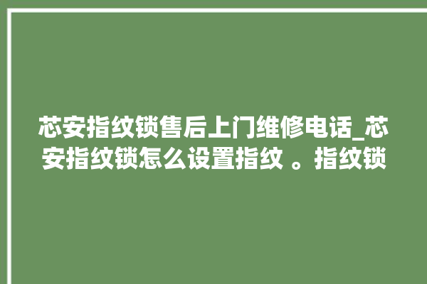 芯安指纹锁售后上门维修电话_芯安指纹锁怎么设置指纹 。指纹锁