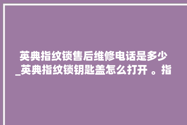 英典指纹锁售后维修电话是多少_英典指纹锁钥匙盖怎么打开 。指纹锁