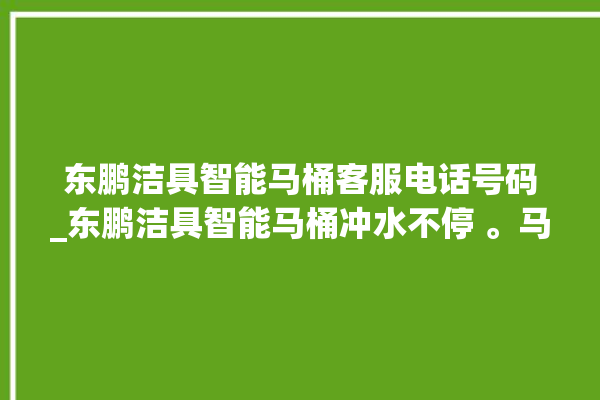 东鹏洁具智能马桶客服电话号码_东鹏洁具智能马桶冲水不停 。马桶