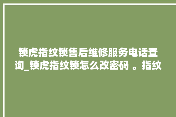 锁虎指纹锁售后维修服务电话查询_锁虎指纹锁怎么改密码 。指纹锁