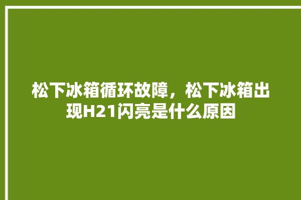 松下冰箱循环故障，松下冰箱出现H21闪亮是什么原因