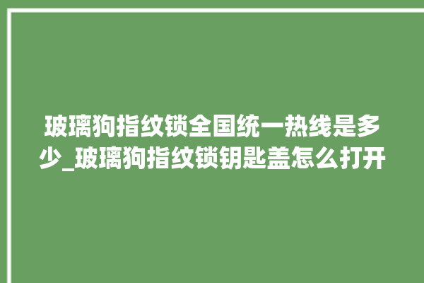 玻璃狗指纹锁全国统一热线是多少_玻璃狗指纹锁钥匙盖怎么打开 。玻璃