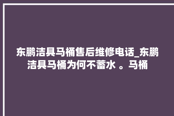 东鹏洁具马桶售后维修电话_东鹏洁具马桶为何不蓄水 。马桶