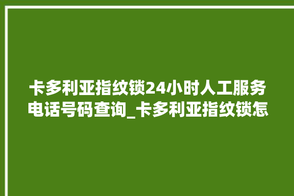 卡多利亚指纹锁24小时人工服务电话号码查询_卡多利亚指纹锁怎么样 。多利亚