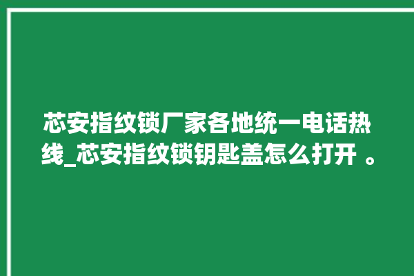 芯安指纹锁厂家各地统一电话热线_芯安指纹锁钥匙盖怎么打开 。指纹锁