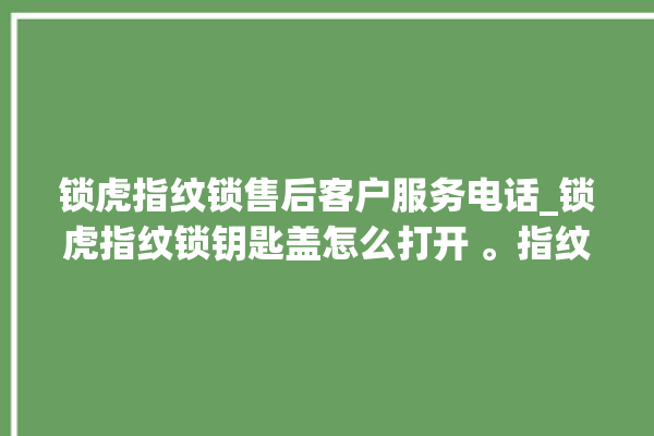 锁虎指纹锁售后客户服务电话_锁虎指纹锁钥匙盖怎么打开 。指纹锁