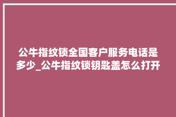 公牛指纹锁全国客户服务电话是多少_公牛指纹锁钥匙盖怎么打开 。公牛