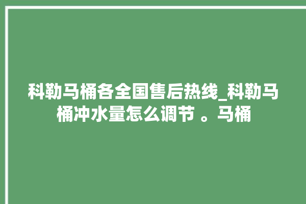 科勒马桶各全国售后热线_科勒马桶冲水量怎么调节 。马桶