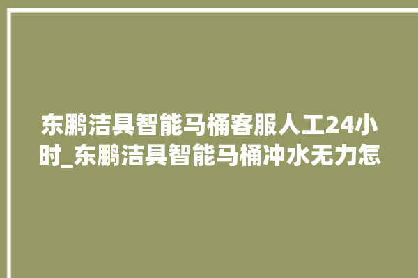 东鹏洁具智能马桶客服人工24小时_东鹏洁具智能马桶冲水无力怎么解决 。马桶