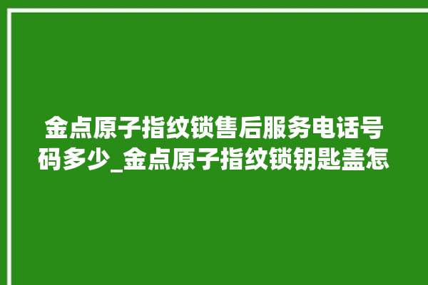 金点原子指纹锁售后服务电话号码多少_金点原子指纹锁钥匙盖怎么打开 。原子