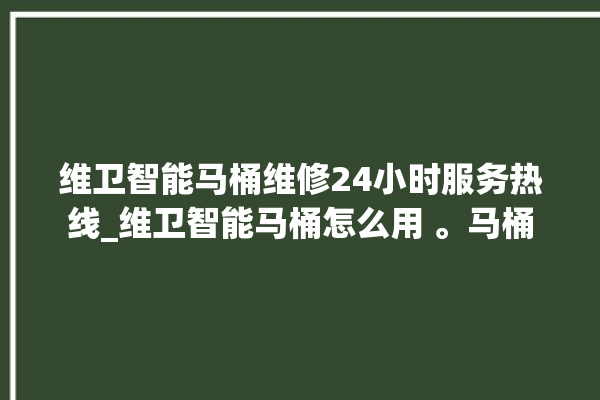 维卫智能马桶维修24小时服务热线_维卫智能马桶怎么用 。马桶