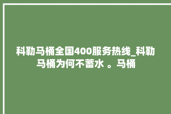 科勒马桶全国400服务热线_科勒马桶为何不蓄水 。马桶