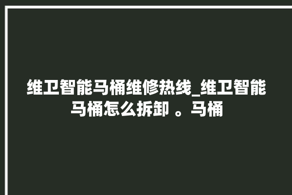 维卫智能马桶维修热线_维卫智能马桶怎么拆卸 。马桶