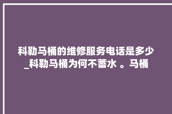 科勒马桶的维修服务电话是多少_科勒马桶为何不蓄水 。马桶