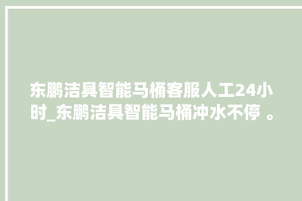 东鹏洁具智能马桶客服人工24小时_东鹏洁具智能马桶冲水不停 。马桶