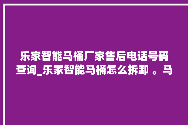 乐家智能马桶厂家售后电话号码查询_乐家智能马桶怎么拆卸 。马桶