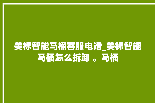 美标智能马桶客服电话_美标智能马桶怎么拆卸 。马桶