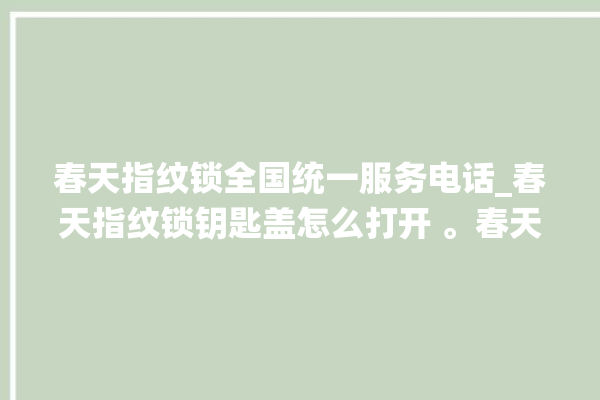 春天指纹锁全国统一服务电话_春天指纹锁钥匙盖怎么打开 。春天