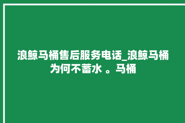 浪鲸马桶售后服务电话_浪鲸马桶为何不蓄水 。马桶