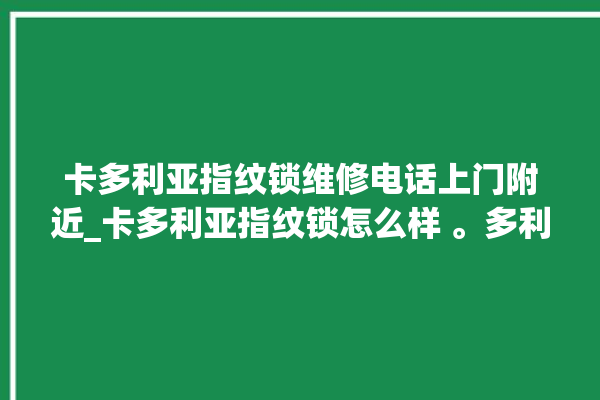 卡多利亚指纹锁维修电话上门附近_卡多利亚指纹锁怎么样 。多利亚