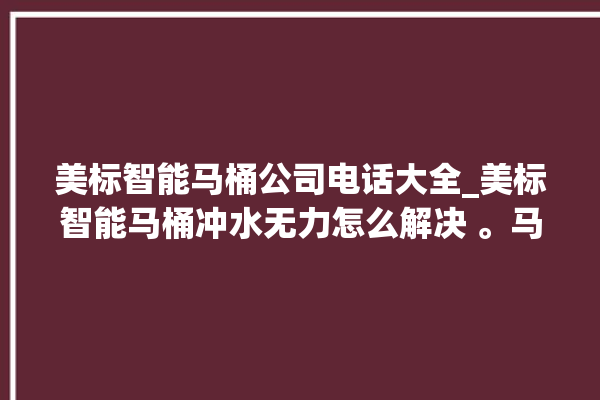 美标智能马桶公司电话大全_美标智能马桶冲水无力怎么解决 。马桶