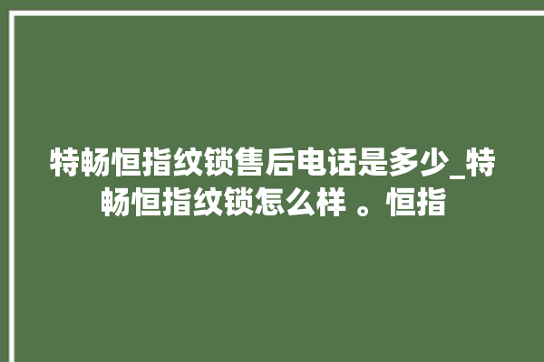 特畅恒指纹锁售后电话是多少_特畅恒指纹锁怎么样 。恒指