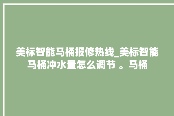 美标智能马桶报修热线_美标智能马桶冲水量怎么调节 。马桶