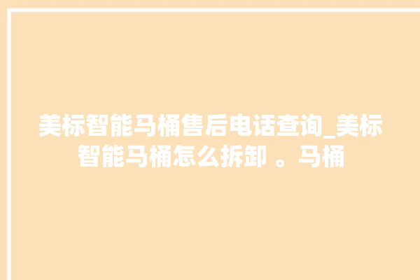 美标智能马桶售后电话查询_美标智能马桶怎么拆卸 。马桶