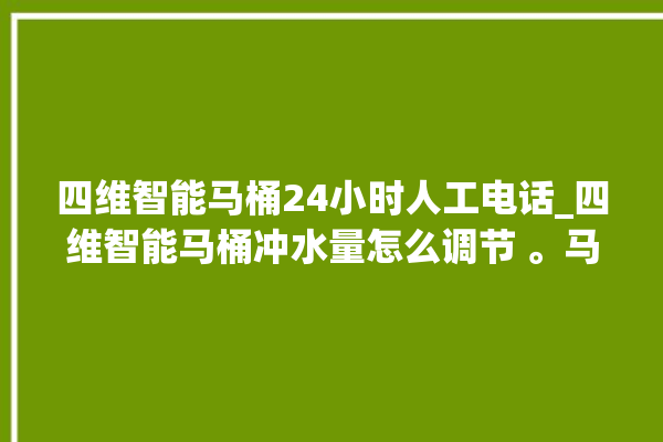 四维智能马桶24小时人工电话_四维智能马桶冲水量怎么调节 。马桶