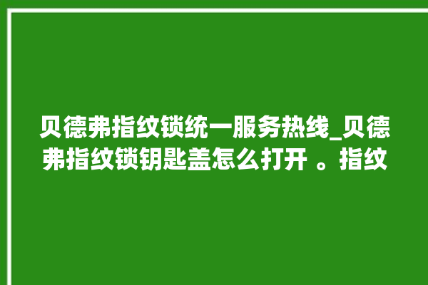 贝德弗指纹锁统一服务热线_贝德弗指纹锁钥匙盖怎么打开 。指纹锁