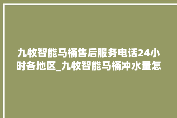 九牧智能马桶售后服务电话24小时各地区_九牧智能马桶冲水量怎么调节 。马桶