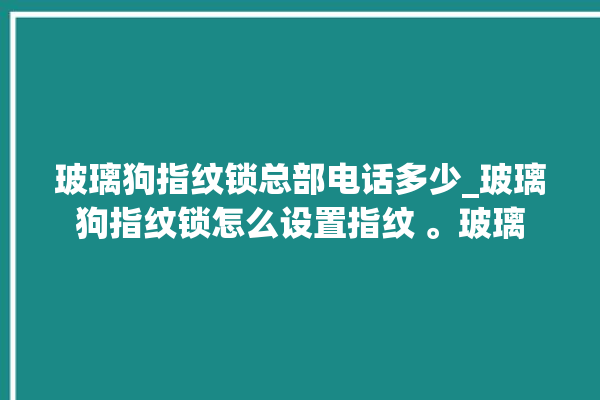 玻璃狗指纹锁总部电话多少_玻璃狗指纹锁怎么设置指纹 。玻璃