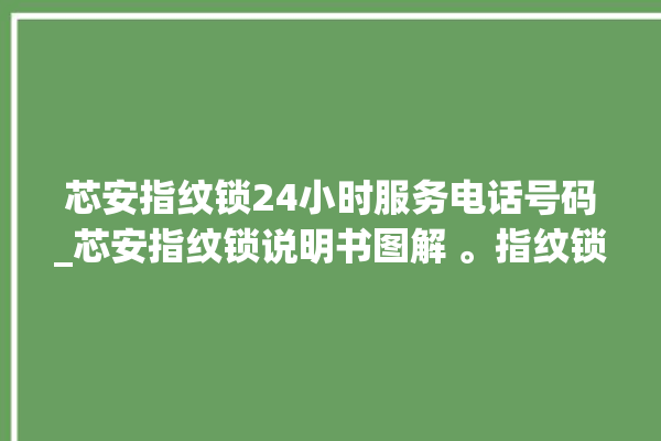 芯安指纹锁24小时服务电话号码_芯安指纹锁说明书图解 。指纹锁