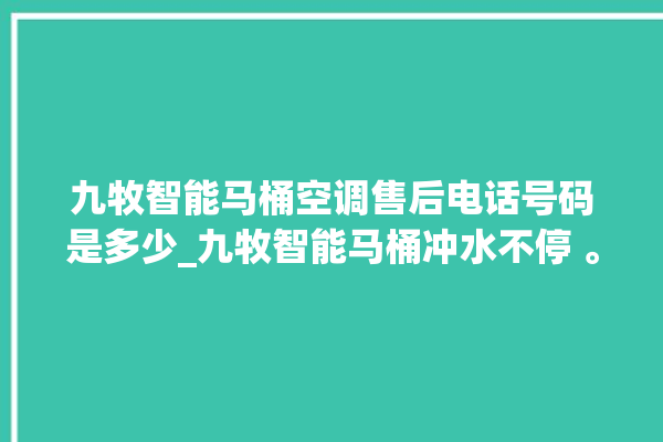 九牧智能马桶空调售后电话号码是多少_九牧智能马桶冲水不停 。马桶