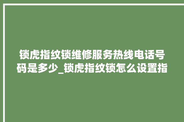 锁虎指纹锁维修服务热线电话号码是多少_锁虎指纹锁怎么设置指纹 。指纹锁