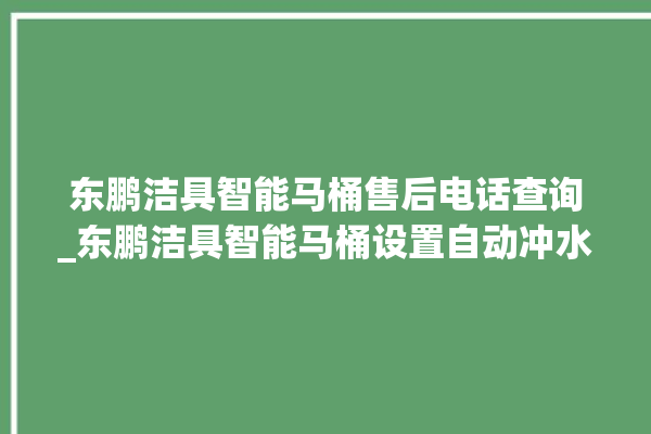 东鹏洁具智能马桶售后电话查询_东鹏洁具智能马桶设置自动冲水 。马桶