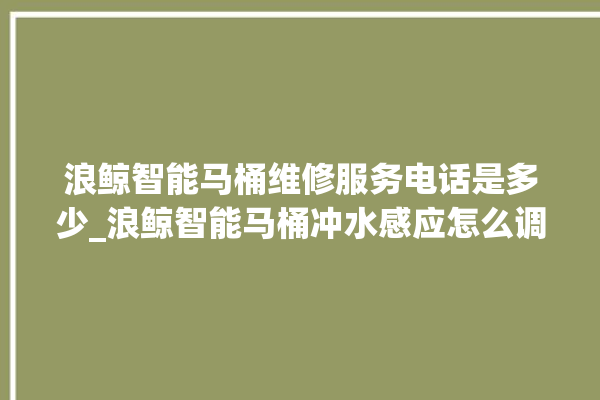 浪鲸智能马桶维修服务电话是多少_浪鲸智能马桶冲水感应怎么调 。马桶