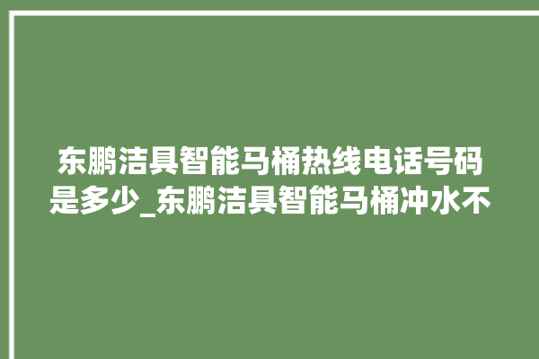 东鹏洁具智能马桶热线电话号码是多少_东鹏洁具智能马桶冲水不停 。马桶