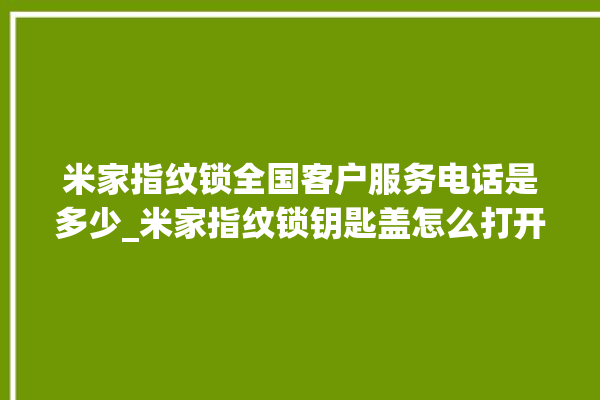 米家指纹锁全国客户服务电话是多少_米家指纹锁钥匙盖怎么打开 。指纹锁