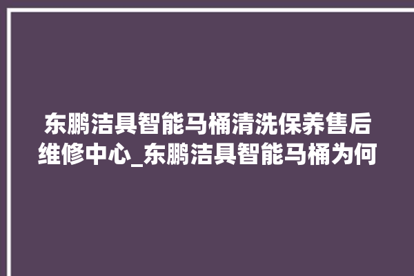 东鹏洁具智能马桶清洗保养售后维修中心_东鹏洁具智能马桶为何不蓄水 。马桶