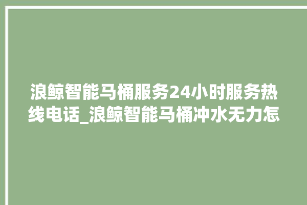 浪鲸智能马桶服务24小时服务热线电话_浪鲸智能马桶冲水无力怎么解决 。马桶