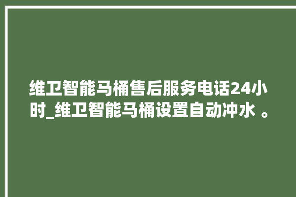 维卫智能马桶售后服务电话24小时_维卫智能马桶设置自动冲水 。马桶