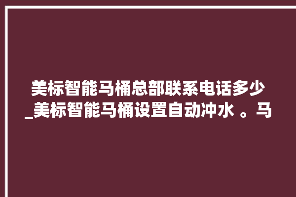 美标智能马桶总部联系电话多少_美标智能马桶设置自动冲水 。马桶