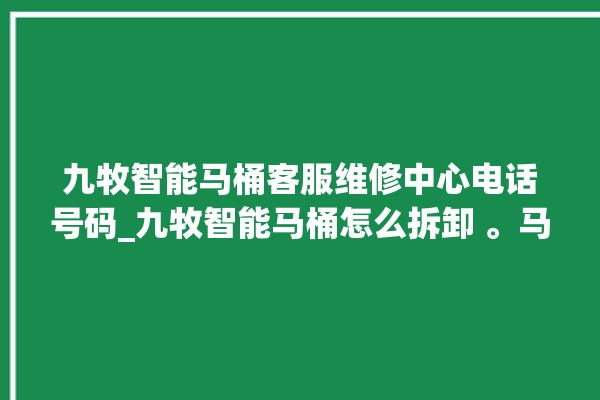 九牧智能马桶客服维修中心电话号码_九牧智能马桶怎么拆卸 。马桶