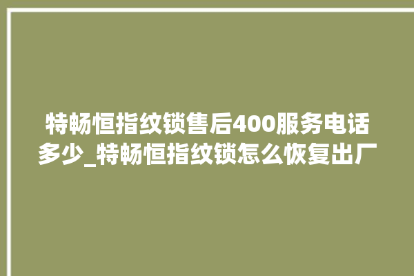 特畅恒指纹锁售后400服务电话多少_特畅恒指纹锁怎么恢复出厂设置 。恒指