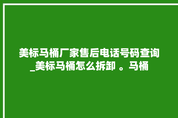 美标马桶厂家售后电话号码查询_美标马桶怎么拆卸 。马桶