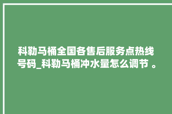 科勒马桶全国各售后服务点热线号码_科勒马桶冲水量怎么调节 。马桶