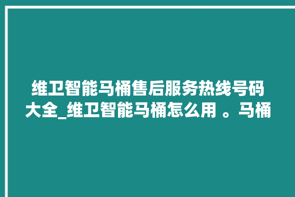 维卫智能马桶售后服务热线号码大全_维卫智能马桶怎么用 。马桶